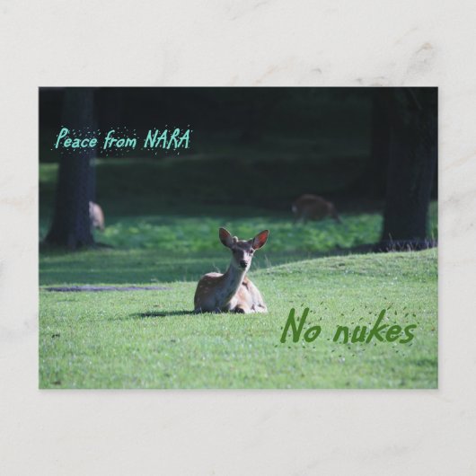 IMG_1713奈良 ポストカード (正面)