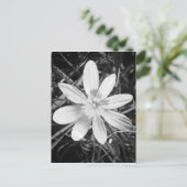 IMG_20150324_210135.jpg ポストカード (スタンド正面)