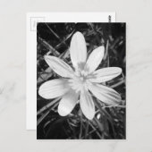 IMG_20150324_210135.jpg ポストカード (正面/裏面)