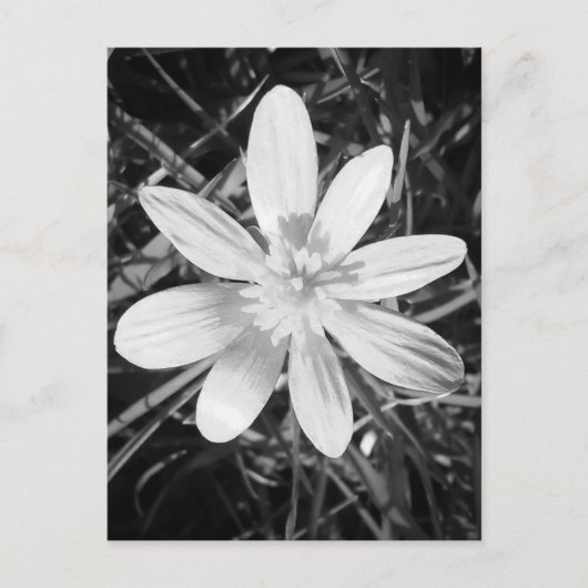 IMG_20150324_210135.jpg ポストカード (正面)