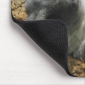 IMG_2196 マウスパッド (コーナー)