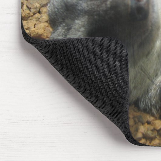 IMG_2196 マウスパッド (コーナー)