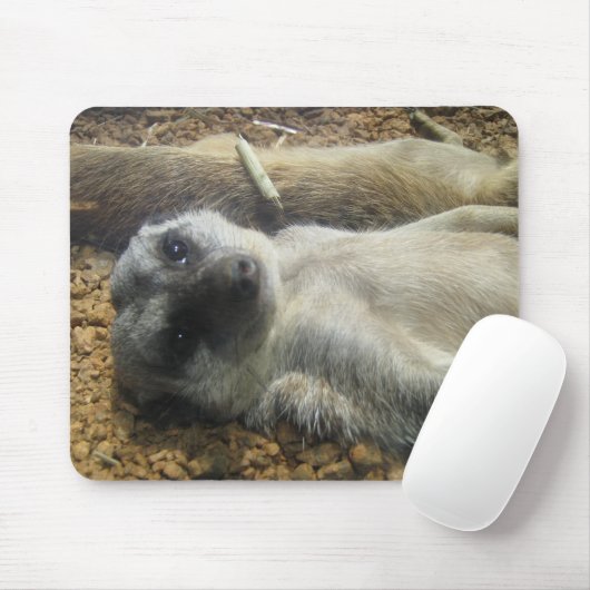 IMG_2196 マウスパッド (マウス)