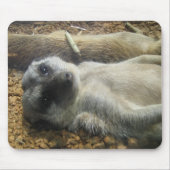 IMG_2196 マウスパッド (正面)