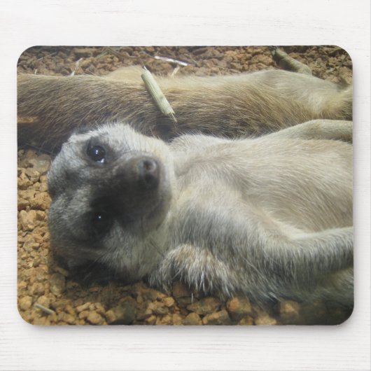 IMG_2196 マウスパッド (正面)