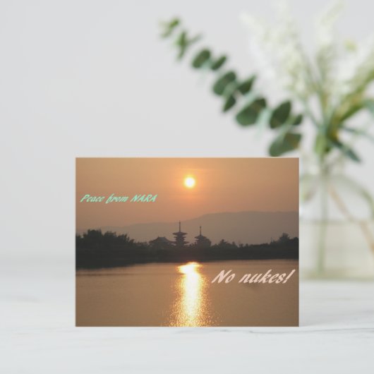 IMG_2220奈良 ポストカード (スタンド正面)