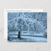 IMG_2425_2、日曜日の朝の大雪コンネック… ポストカード (正面/裏面)