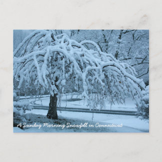 IMG_2425_2、日曜日の朝の大雪コンネック… ポストカード