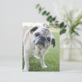 IMG_2562 ポストカード (スタンド正面)