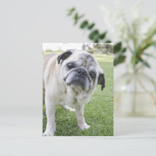 IMG_2562 ポストカード (スタンド正面)