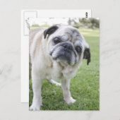 IMG_2562 ポストカード (正面/裏面)