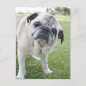 IMG_2562 ポストカード (正面)