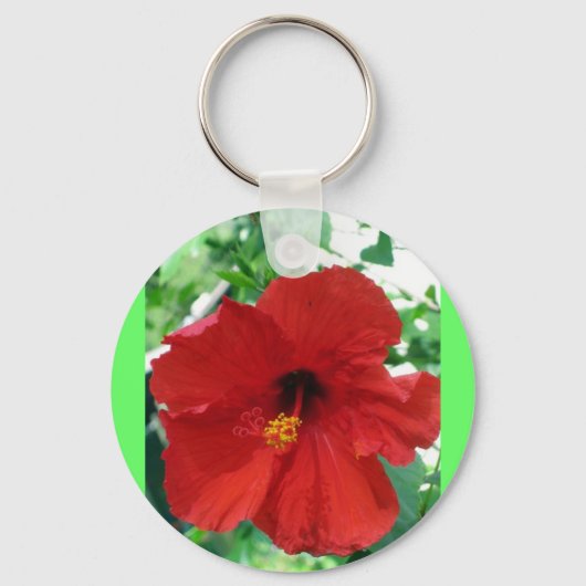 IMG_2905_edited キーホルダー (正面)