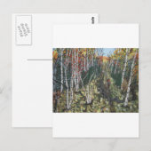 IMG_2974.JPGWhite樺の木トレイルライド ポストカード (正面/裏面)