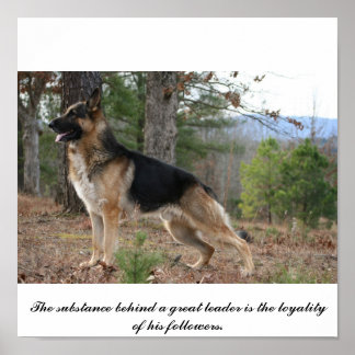 IMG_3539、リーダーの背後素晴らしにある物質… ポスター