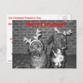 IMG_3721_2、メリークリスマス! シーズンポストカード (正面/裏面)