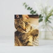 IMG_3770.JPG ポストカード (スタンド正面)