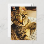 IMG_3770.JPG ポストカード (正面/裏面)