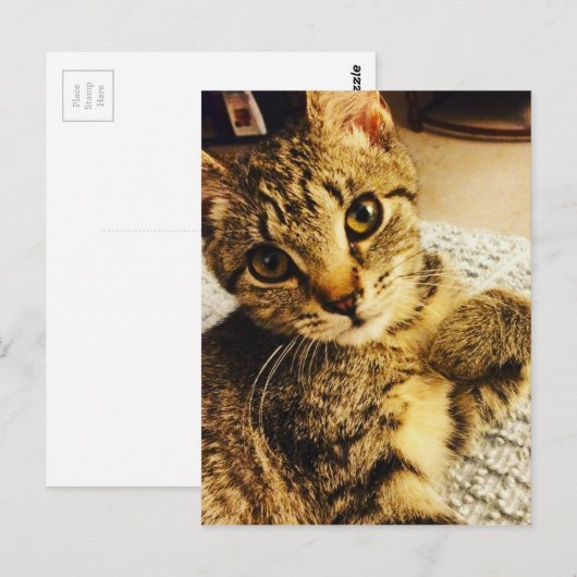 IMG_3770.JPG ポストカード (正面/裏面)