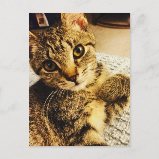 IMG_3770.JPG ポストカード (正面)