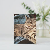 IMG_3960.JPG ポストカード (スタンド正面)