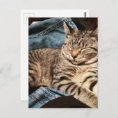 IMG_3960.JPG ポストカード (正面/裏面)