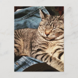 IMG_3960.JPG ポストカード