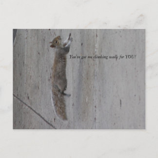 IMG_3995、登山の壁を得持ってるぞ！ ポストカード