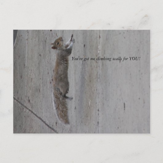 IMG_3995、登山の壁を得持ってるぞ！ ポストカード (正面)