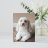 IMG_4050 ポストカード (スタンド正面)