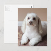 IMG_4050 ポストカード (正面/裏面)