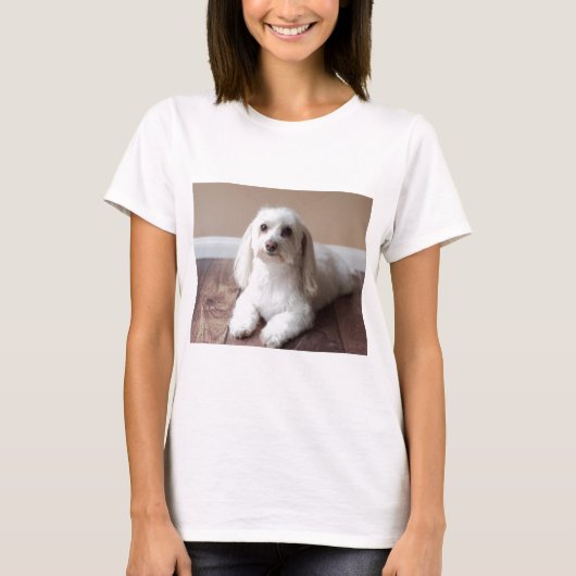 IMG_4050 Tシャツ (正面)