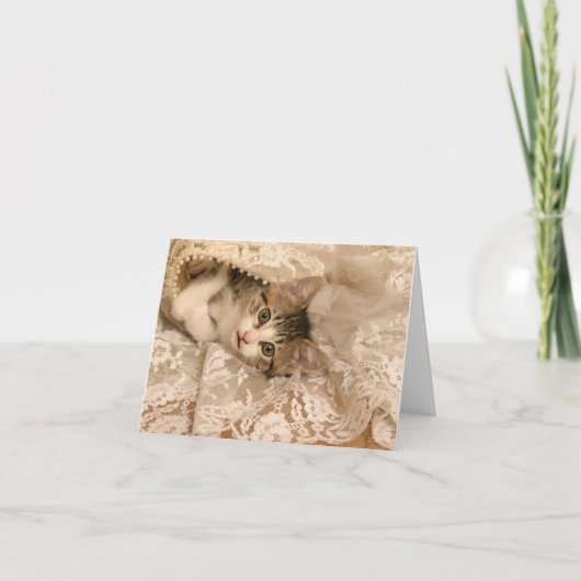 IMG_4121_-_Marygold_-_cropped - 5x7 カード (正面)