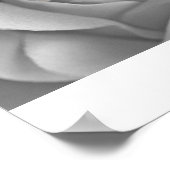 IMG_4572a ポスター (角)