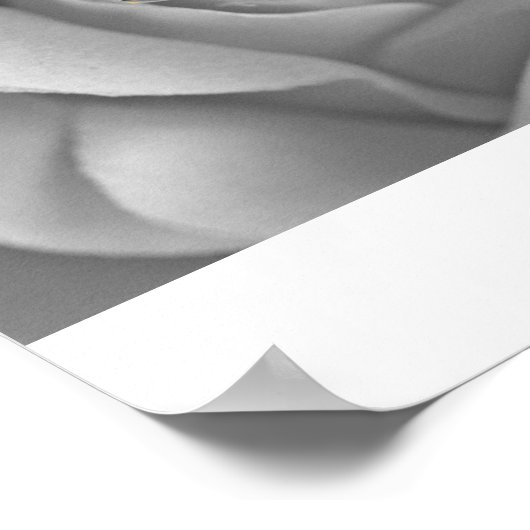 IMG_4572a ポスター (角)