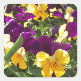 IMG_4738.JPG スクエアシール