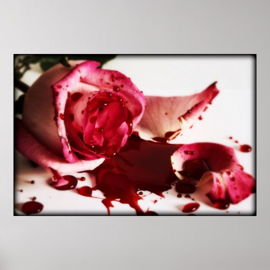 IMG_4906 ポスター (正面)