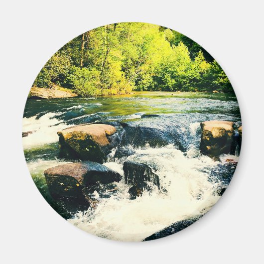 IMG_5011.JPG マグネット (正面)