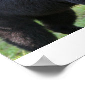 IMG_5587_edited ポスター (角)