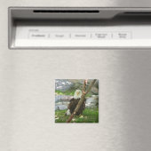 IMG_6126, upliftingphotography.net America マグネット (インサイチュ (食洗機))