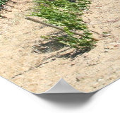 IMG_6159、La Rioja、スペイン ポスター (角)