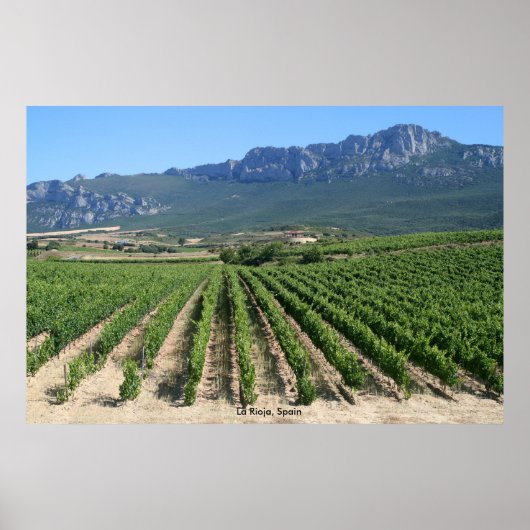 IMG_6159、La Rioja、スペイン ポスター (正面)