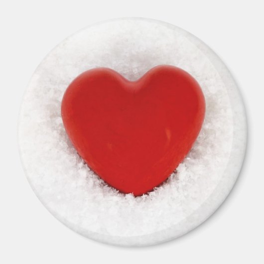 IMG_6456 マグネット (正面)