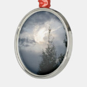 IMG_6587.JPG メタルオーナメント (左)