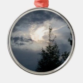 IMG_6587.JPG メタルオーナメント