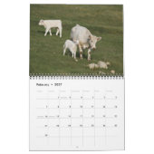 IMG_6979「雄牛」が大好きで… カレンダー (2月 2027)