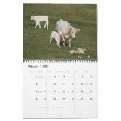 IMG_6979「雄牛」が大好きで… カレンダー (2月 2026)