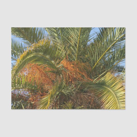 IMG_7080.JPGsummer、palm、leaf、tropical、tree、および 薄葉紙 (正面)