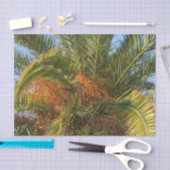 IMG_7080.JPGsummer、palm、leaf、tropical、tree、および 薄葉紙 (クラフト)