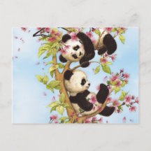 IMG_7386.PNGかわいいカラフルパンダ